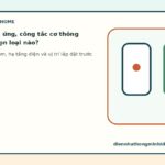 Công tắc cảm ứng, công tắc cơ thông minh: nên chọn loại nào?