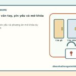 Cách xử lý lỗi vân tay, pin yếu và mở khóa dự phòng