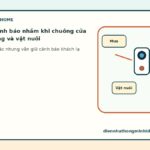 Cách giảm cảnh báo nhầm khi chuông cửa gặp mưa, nắng và vật nuôi