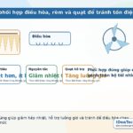 Minh họa cách phối hợp điều hòa, rèm và quạt để tránh tốn điện trong nhà ở